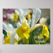 BEST FRIENDS! Art Print Gifts Yellow IRISES White