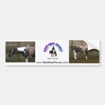 Best Kept Secret Farm Bumper Stickers