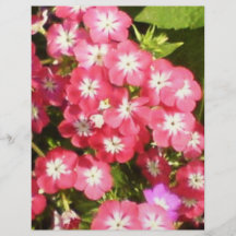 Best Wishes - Floral Presentation Flyer