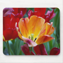 Between The Reds Mouse Pad
