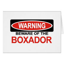 Beware Of Boxador Cards