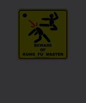 Beware of Kung Fu Master t-shirts