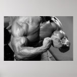 Bicep Peak Gym Wall & Health Club Poster