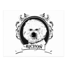 BICHON FRISE (3) POST CARDS