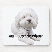 Bichon Frise Dog Mouse Pads