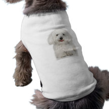 Bichon Frise Doggie Tshirt