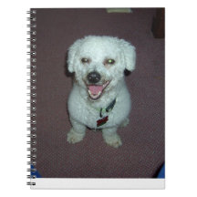 Bichon Frise Notebook