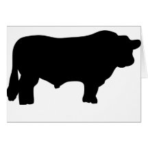 big black angus bull card
