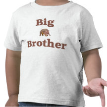 Big Brother Dinosaur Tshirt