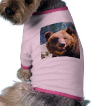 Big Brown Bear Dog T Shirt