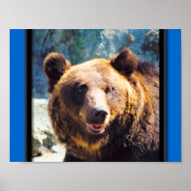 Big Brown Bear Print