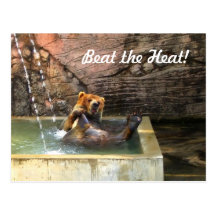 Big Brown Bear Taking a Bath Post Cards