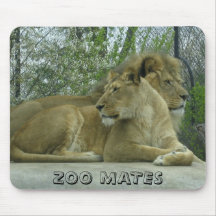 BIG CATS                                  ... MOUSE PADS