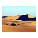 Big Dunes Postcard
