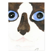 Big Eyed Snowshoe cat Postcard