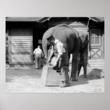 Big Foot Pedicure, 1910s Poster