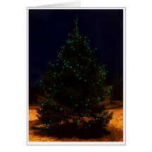 Big Old Tree Greeting Cards