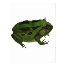 Big Storybook Frog Post Card
