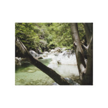 Big Sur Creek Stretched Canvas Print