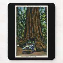 Big Tree Wawona, Mariposa Grove, CA Mouse Pad