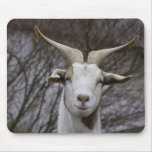 Billy Goat Mousepads