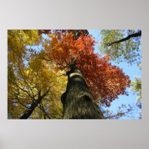Binghamton October Poster