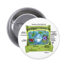 Biology Pins