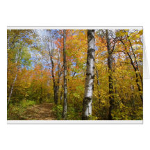 birchpath greeting cards