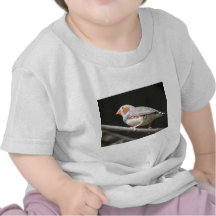 bird2 tee shirt