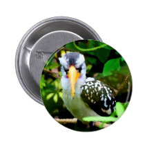 bird black white yellow beak against green painted button