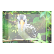 bird black white yellow beak against green painted stationery