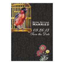Bird Cage Cards
