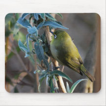 Bird camouflaged in the tree mousepads