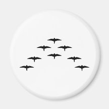 Bird covey black birds magnet
