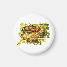 bird lovers Magne Fridge Magnets