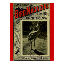 Bird Magazine jul 3 1903 Post Cards