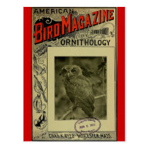 Bird Magazine jun 8 1903 Postcards