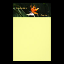 Bird of Paradise "From the Desk of" Stationery stationery