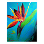 Bird of Paradise Post Card