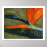 Bird of Paradise, Poster