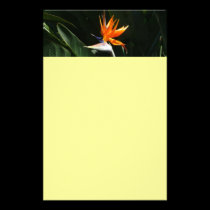 Bird of Paradise Stationery stationery