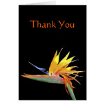 Bird of Paradise Thank You Note Greeting Card