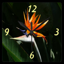 Bird of Paradise Tropical Floral Wall Clock wall clocks