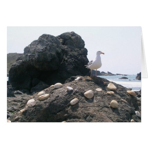 Bird Proud of its Work Greeting Cards