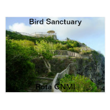 Bird Sanctuary Postcard