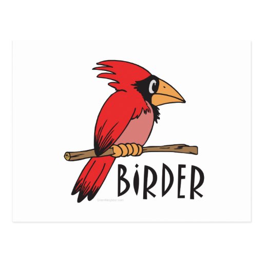 Bird Watching Postcards