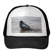 Birdbath Hat