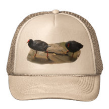 Birdie Mesh Hat