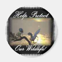 Birds--0001TwoBirdsOnLimb Magnets