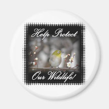 Birds--0002BirdYellowHeadOnLimb Refrigerator Magnet